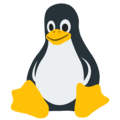 VPS Publique Linux icône