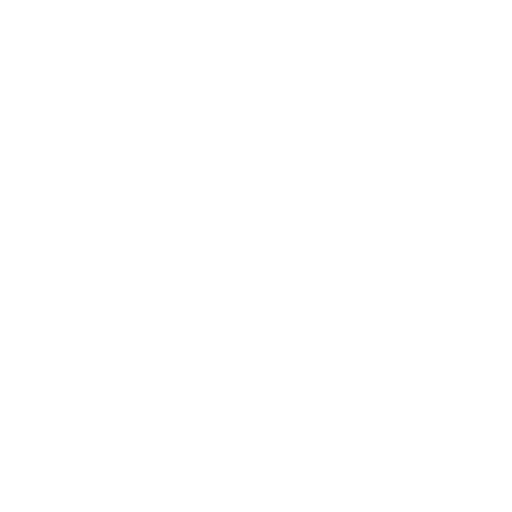 VPS Entreprise icône
