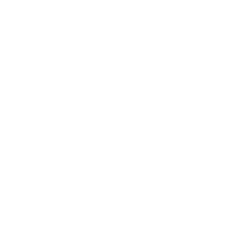 VPS Publique icône